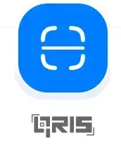 QRIS