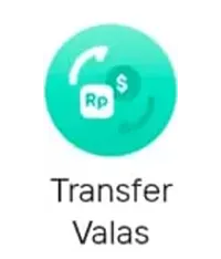Transfer Valas